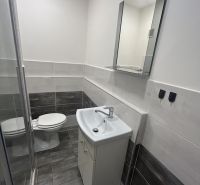 Fürdőszoba garzonlakásban WC-vel, mosdóval és zuhanyzóval, semleges színárnyalatokkal.