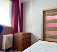 Szoba egy kétszobás lakásban fa dekorációval, bútorokkal és radiátorral.