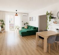 Nappali fa mintás padlóval, zöld kanapéval és növényekkel egy háromszobás lakásban.