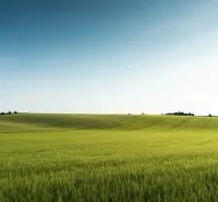 Zöld mezők és enyhe dombok a Mezőgazdasági és erdészeti területeken Medzanoch közelében.