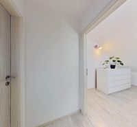 3 szobás lakás belső tere fa mintázatú padlóval és modern ajtókkal.
