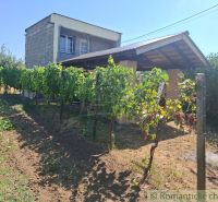 Napos időben a szőlőskert a ház körül Gbelce-ben.