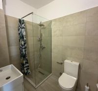 Fürdőszoba garzonlakásban WC-vel, zuhanyzóval és mosdóval.