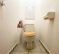 Fürdőszoba egy egyszobás lakásban WC-vel és tisztítószerekkel a polcon.