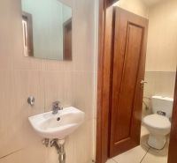 Kis fürdőszoba mosdóval, tükörrel és WC-vel üzlethelyiségben.