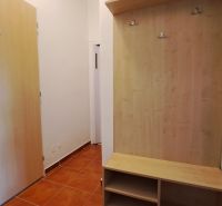 Előszoba cipősszekrénnyel és fogassal egy kétszobás lakásban, fa mintázatú padlóval.