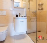 Minimalista fürdőszoba zuhanyzóval és WC-vel egy családi házban.