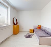 Szoba egy háromszobás lakásban kanapéval, fotellel és növénnyel a padlón, fa dekorációval.