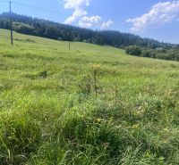 Lakóterületek Olešnában erdős háttérrel és villanyoszlopokkal.
