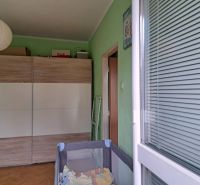 Szoba egy kétszobás lakásban, nagy szekrénnyel, fa dekorációval és zöld falakkal.