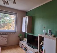 Nappali fa dekorációval, televízióval és zöld fallal egy kétszobás lakásban.