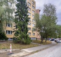 Benadová utca Kassán - Dargói hősök városrész, lakóházzal és fákkal.