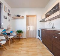 Konyha egy egyszobás lakásban fa dekor padlóval és modern bútorokkal.