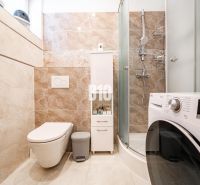Családi ház fürdőszobája mosógéppel, zuhanyzóval és WC-vel.
