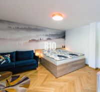 Rekreációs apartman kanapéval, ággyal és fa dekorációjú padlóval.