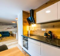 Konyha fa dekorral, kanapéval és művészi fallal a Nyaraló apartmanban.
