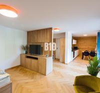Nyaraló apartman belső tere fa dekor padlóval, televízióval és konyhasarokkal.