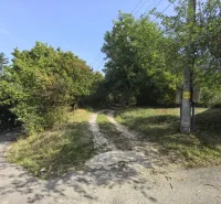 Látható elágazó ösvény a Kolačna kertekben, zölddel és villanyoszloppal körülvéve.