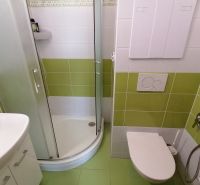 Fürdőszoba zuhanyzóval és zöld csempékkel egy kétszobás lakásban.