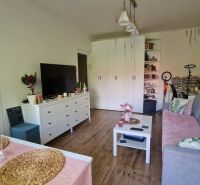 Nappali egy egyszobás lakásban fa dekorációjú padlóval és hangulatos berendezéssel.