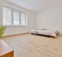 Studiový byt s drevenou podlahou, posteľou a veľkým oknom.
