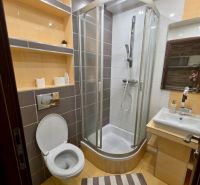 Fürdőszoba WC-vel, zuhanyzóval, mosdóval és polcokkal egy egyszobás lakásban.