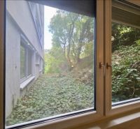 Kilátás egy egyszobás lakás ablakából a zöld növényzetre és a szomszédos épületre.