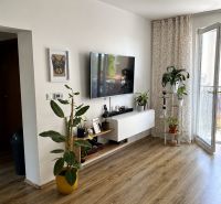 Szoba egy háromszobás lakásban, fa dekorú padlóval, televízióval és növényekkel.
