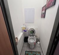 Két szobás lakás WC-je mintás szőnyeggel és fali dekorációval.