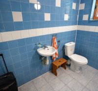 Fürdőszoba egy családi házban kék csempékkel, mosdóval és WC-vel.