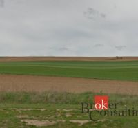 Kiterjedt zöld mezők Lužiankyban, lakóterületek számára alkalmasak.