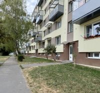 Lakóház zöldterülettel és járdával, Topoľčanyban található, fákkal körülvéve.