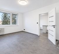 Tágas, világos szoba egy kétszobás lakásban, nagy ablakkal és bejárati ajtóval.