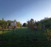 Gyep fákkal a kertekben a Tatranská 201, Aranyosmarót.