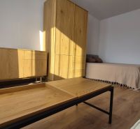 1 szobás lakás belső tere ággyal, fa bútorokkal és fa dekorációjú padlóval.
