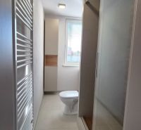 Fürdőszoba zuhanyzóval, WC-vel és modern radiátorral egy egyszobás lakásban.