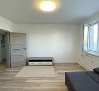 Világos nappali egy kétszobás lakásban, fa hatású padlóval és szürke kanapéval.