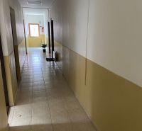 Folyosó irodákban csempével és szobanövénnyel az ablak mellett.