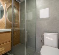 Fürdőszoba zuhanyzóval, mosdóval és WC-vel egy egyszobás lakásban.