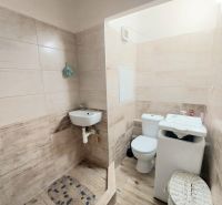 Fürdőszoba a garzonlakásban WC-vel, mosdóval és mosógéppel; fa hatású padlóval.