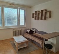Garzonlakás fa dekor padlóval, kanapéval, dohányzóasztallal és függő polccal.