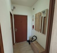 Előszoba a garzonlakásban szekrénnyel és fa dekorációval a padlón.