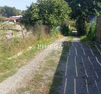 Kavicsos út vezet keresztül a zöld lakóterületeken egy utcán Humennéban.