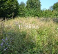 Egy vadvirágokkal és fűvel borított rét veszi körül Felsőladičkócot, kilátással az erdőkre.