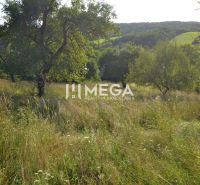 Gyümölcsfákkal rendelkező füves telek a Vyšné Ladičkovce utcában található családi házban, Vyšné Ladičkovce.