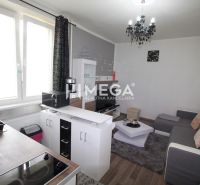 Nappali konyhával a nyaraló apartmanban, fa hatású padló, szürke kanapé.