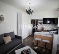 A Rekreačného apartman konyhája pulttal, fa mintás padlóval és szürke kanapéval.