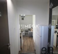 Rekreációs apartman fa dekor padlóval, konyhasarokkal és nappali résszel.