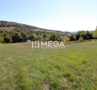 Földterületek - lakóövezet a Vyšné Ladičkovce településen, a Vyšné Ladičkovce utcában, természet által körülvéve.