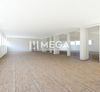 Tágas üzlethelyiség fa dekorációjú padlóval és fehér falakkal.